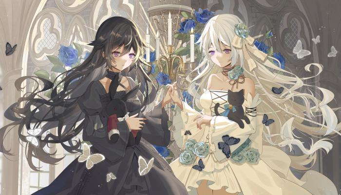 电脑壁纸 双胞胎 长发 白发 动漫 女孩 黑发 蝴蝶 电脑桌面 壁纸大全 高清壁纸 壁纸下载